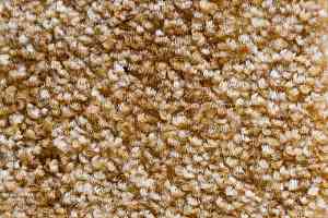 Ковролин AW Masquerade Palio 38 фото  | FLOORDEALER